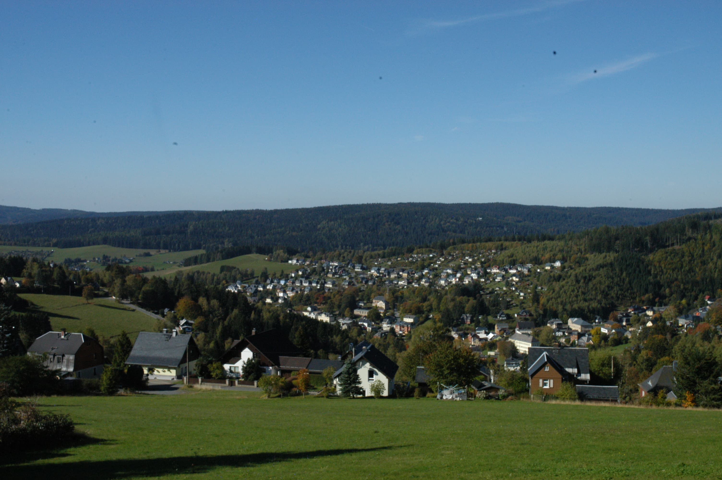 Blick über eine grüne Wiese auf Häuser im Tal und bewaldete Hügel